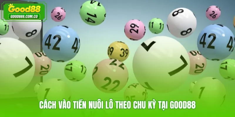 Cách bắt lô khung với tỷ lệ vào tiền và kế hoạch cược tại Good88