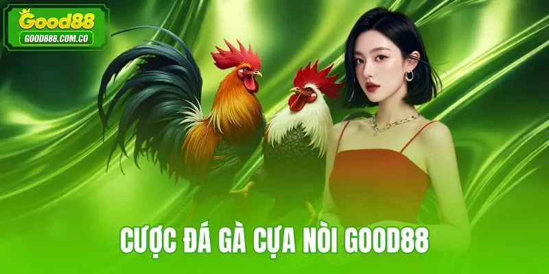 Cá đá gà cựa nòi Good88
