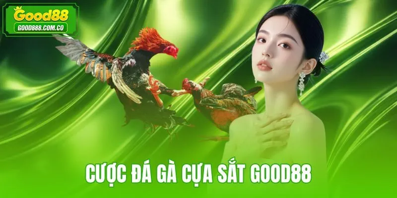 Cược đá gà cược sắt Good88