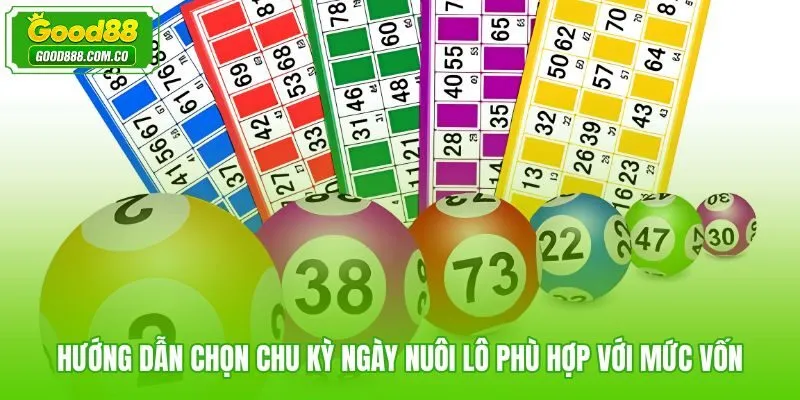 Cách bắt lô khung theo chu kỳ 2 3 5 7 ngày và mức vốn tương ứng
