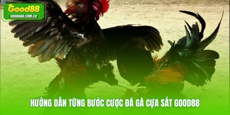 Quy trình đặt vé cược đá gà cựa sắt Good88 từ truy cập sảnh đến xác nhận kèo