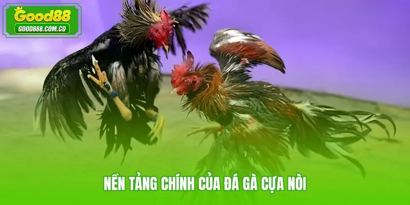 Cược đá gà cựa nòi Good88 với bản lĩnh và thể lực chiến kê nòi truyền thống